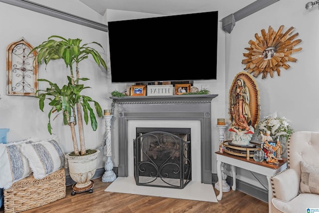 interior details featuring a fireplace with flush hearth and wood finished floors
