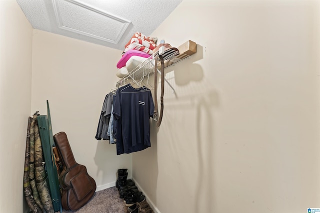 108 Dee Hendrix Rd, Hueytown, AL 35023 - spacious closet with attic access and carpet