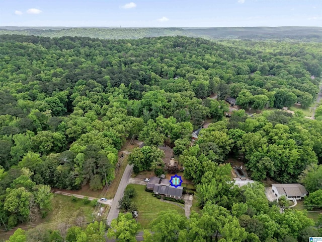 108 Dee Hendrix Rd, Hueytown, AL 35023 - aerial view featuring a view of trees