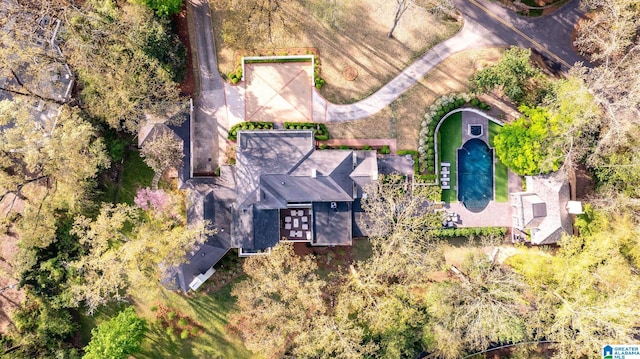 bird's eye view