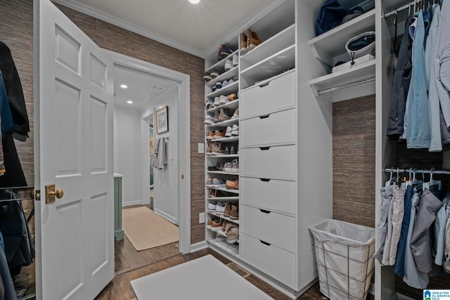 spacious closet with dark wood-type flooring