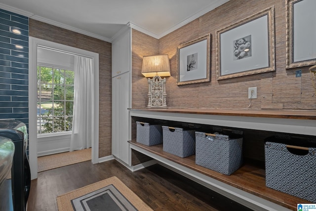 interior space featuring crown molding, dark wood-style floors, and baseboards