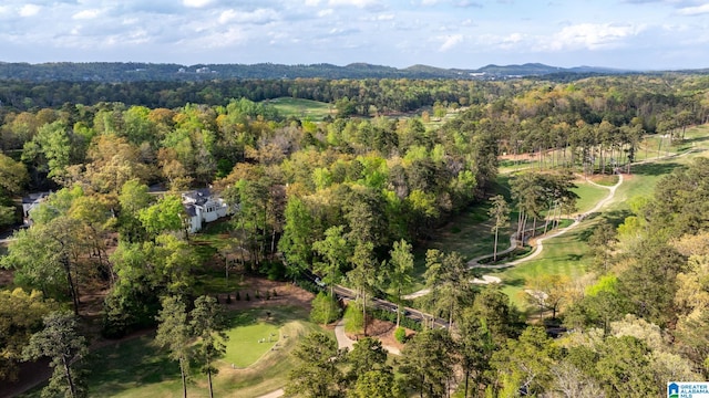 birds eye view of property with a mountain view and a forest view