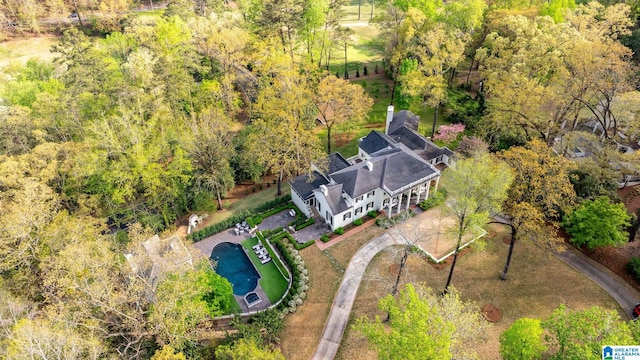 bird's eye view