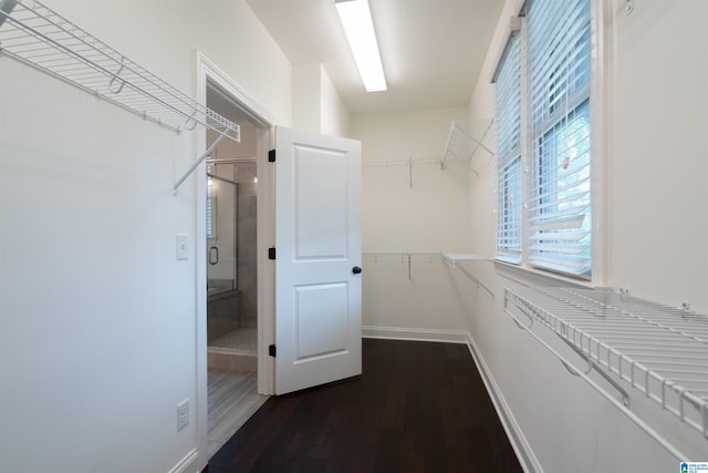 spacious closet with dark wood-style floors