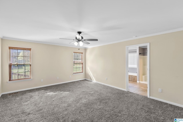 spare room with plenty of natural light, ornamental molding, a ceiling fan, and carpet