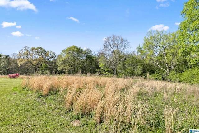 view of landscape featuring a forest view