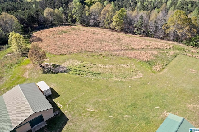 birds eye view of property with a rural view