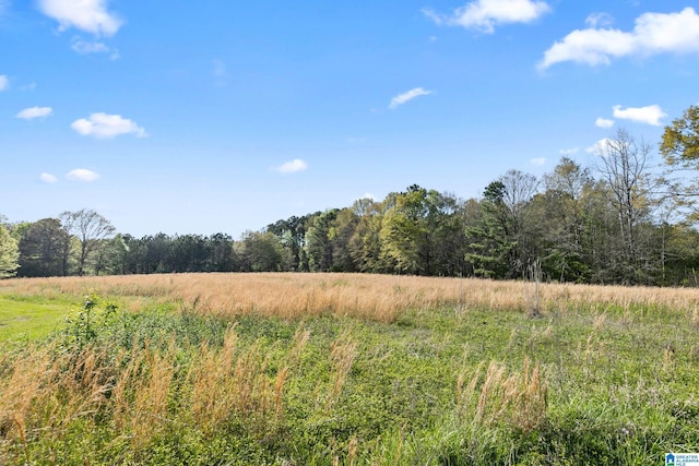 view of local wilderness featuring a rural view and a forest view