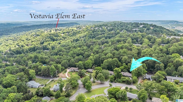 2725 Shades Crest Rd, Vestavia Hills, AL 35216 - bird's eye view featuring a wooded view