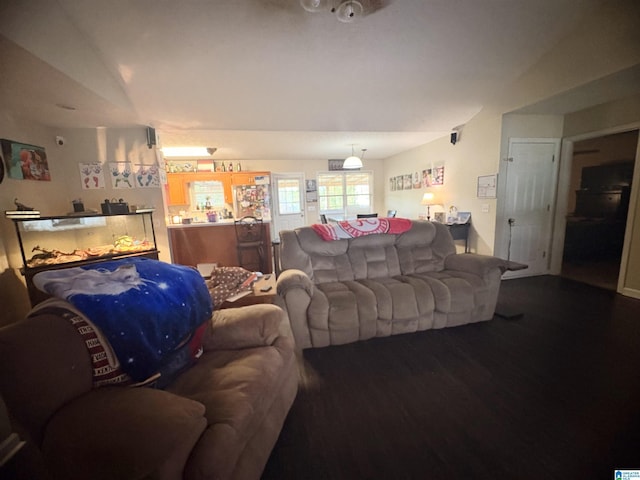 living room featuring wood finished floors