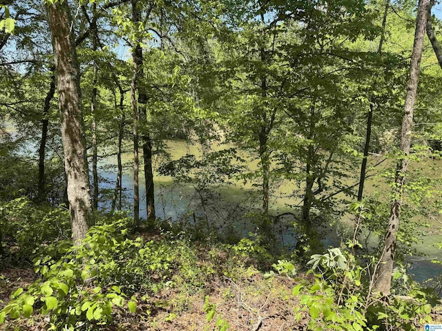 view of local wilderness with a forest view and a water view