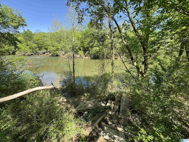 property view of water with a forest view