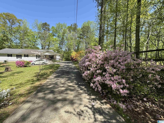 view of road with aphalt driveway