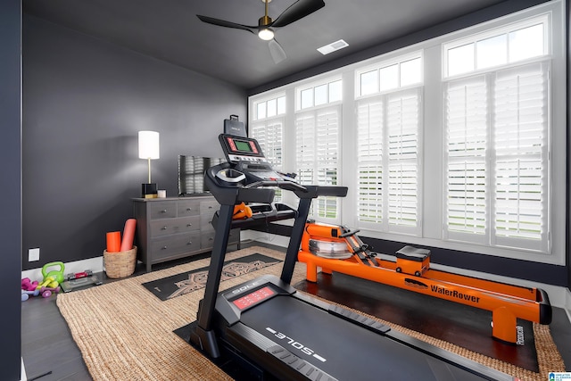 1904 Blackridge Rd, Hoover, AL 35244 - exercise area featuring visible vents and ceiling fan