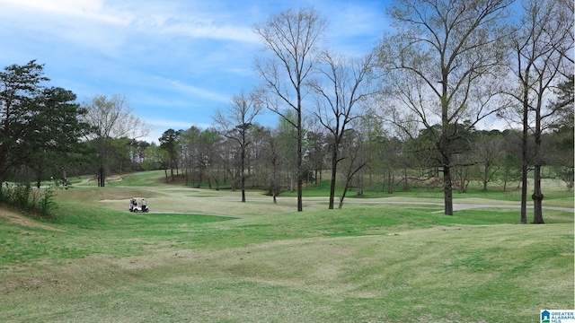 1155 Timberline Rdg, Calera, AL 35040 - view of community with a yard and view of wooded area