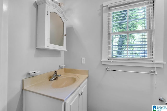 190 Drennen Park Cir, Hayden, AL 35079 - bathroom with plenty of natural light and vanity