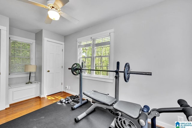 190 Drennen Park Cir, Hayden, AL 35079 - workout area with baseboards, a ceiling fan, and wood finished floors