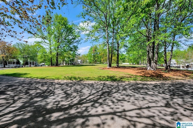 190 Drennen Park Cir, Hayden, AL 35079 - view of property's community featuring a yard and view of wooded area