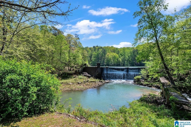190 Drennen Park Cir, Hayden, AL 35079 - water view with a heavily wooded area
