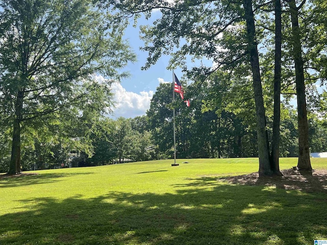 190 Drennen Park Cir, Hayden, AL 35079 - view of grassy yard