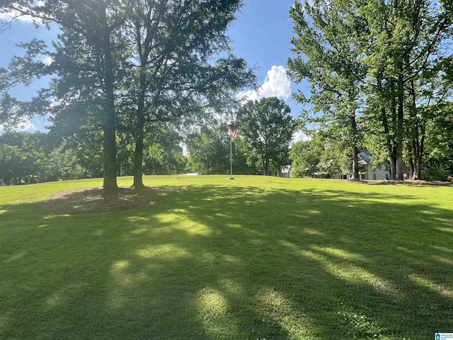 190 Drennen Park Cir, Hayden, AL 35079 - view of green lawn featuring view of wooded area