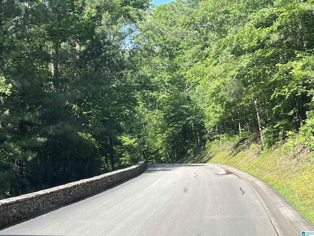 190 Drennen Park Cir, Hayden, AL 35079 - view of asphalt street featuring a forest view