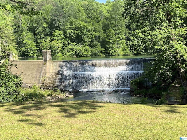190 Drennen Park Cir, Hayden, AL 35079 - view of grassy yard featuring a water view and a forest view