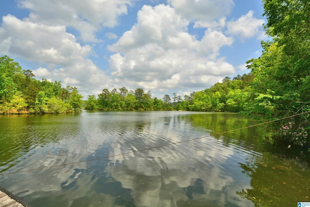 view of water feature with a view of trees