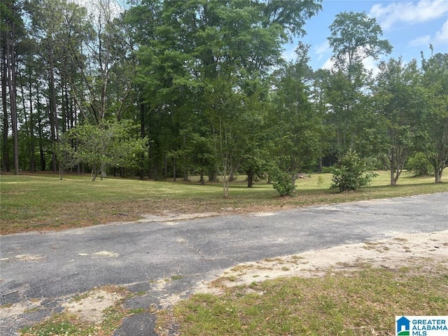 1003 Old Samaria Rd, Clanton, AL 35045 - view of street