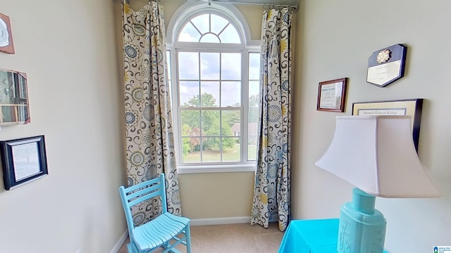 214 Scotts Trce, Helena, AL 35022 - sitting room with carpet flooring, baseboards, and plenty of natural light