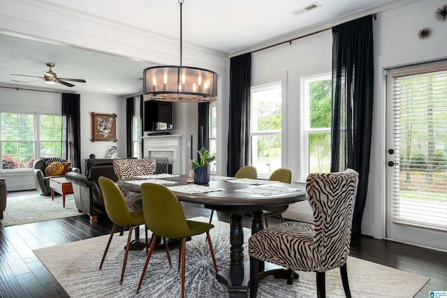 dining room with crown molding, visible vents, dark wood finished floors, a fireplace, and ceiling fan with notable chandelier