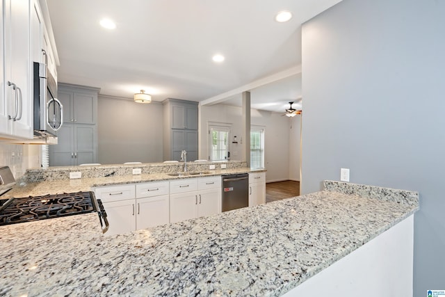2607 Woodfern Ct, Homewood, AL 35209 - kitchen with light stone countertops, a sink, stainless steel appliances, a ceiling fan, and a peninsula
