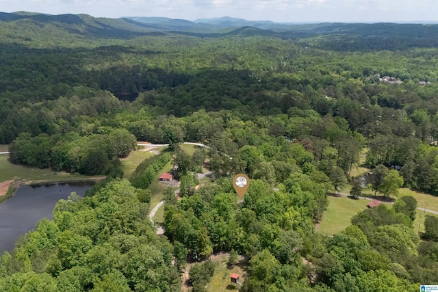 birds eye view of property featuring a water and mountain view and a view of trees