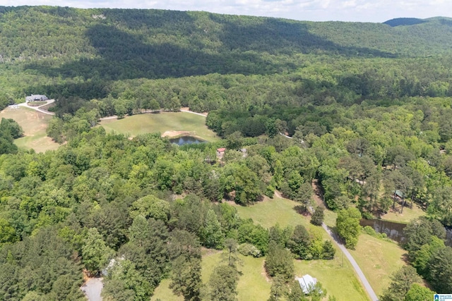 bird's eye view featuring a water view and a view of trees