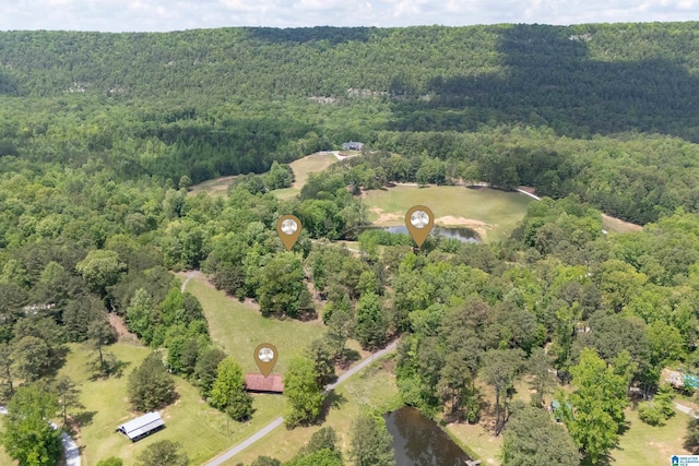 bird's eye view featuring a view of trees
