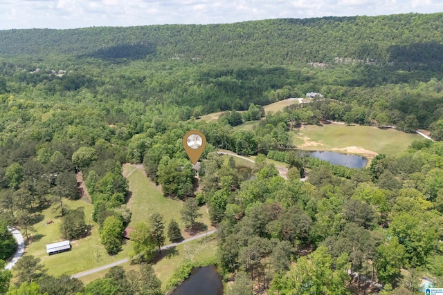 bird's eye view featuring a water view and a forest view