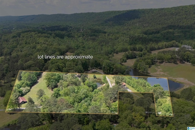 birds eye view of property with a water view and a view of trees