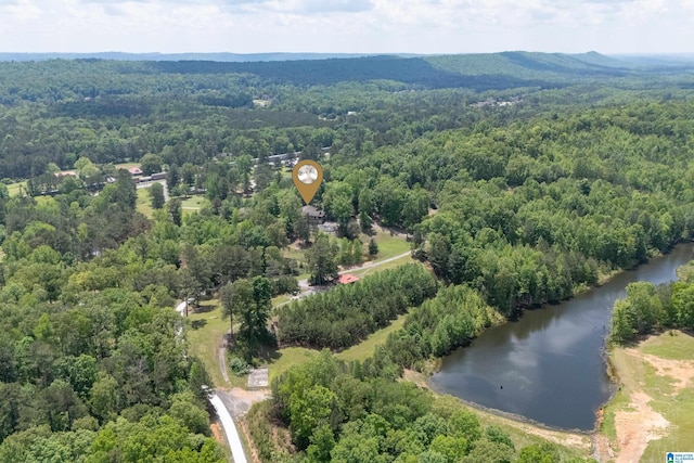 drone / aerial view featuring a water view and a view of trees
