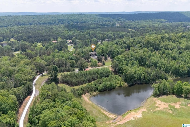 drone / aerial view with a water view and a view of trees
