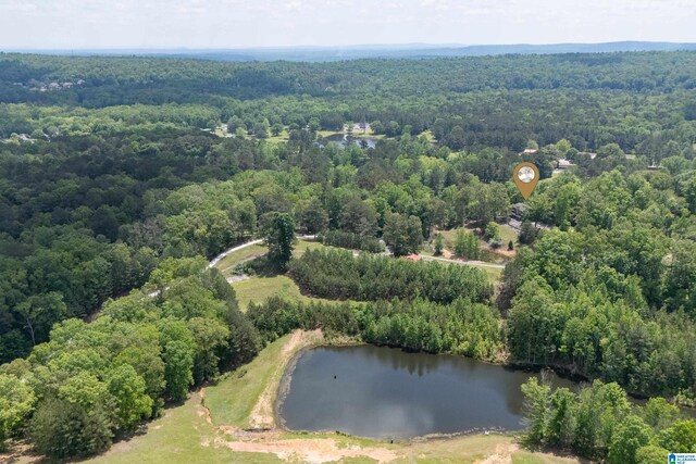 drone / aerial view featuring a water view and a wooded view