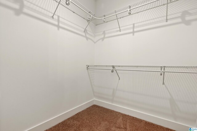 670 Hillstone Dr, Pell City, AL 35125 - spacious closet featuring carpet floors
