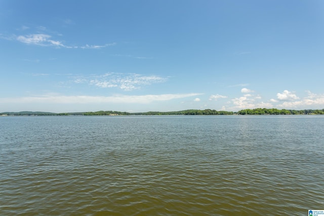 3516 Griffitt Bend Rd, Talladega, AL 35160 - water view