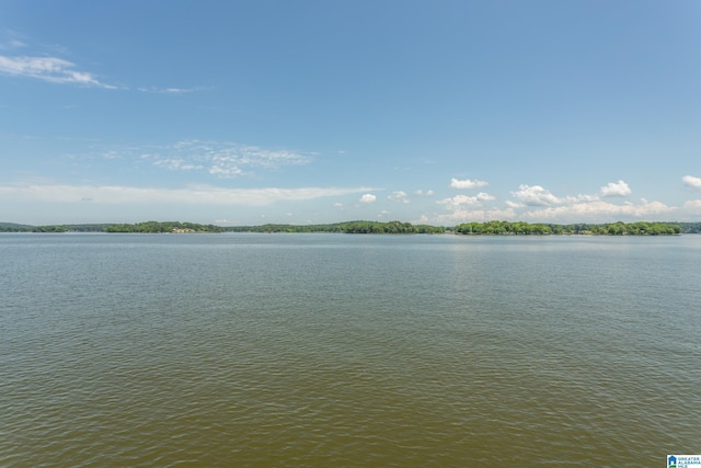 3516 Griffitt Bend Rd, Talladega, AL 35160 - water view