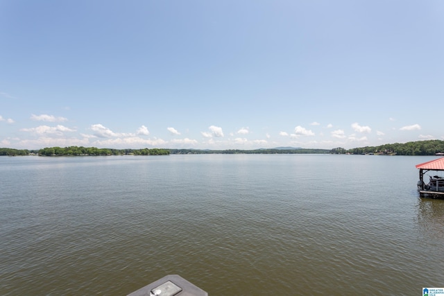 3516 Griffitt Bend Rd, Talladega, AL 35160 - water view