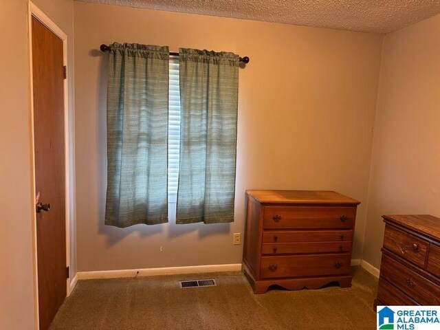 carpeted bedroom with a textured ceiling, visible vents, and baseboards