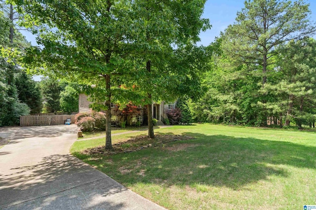 view of yard featuring concrete driveway