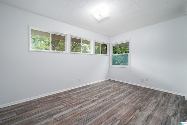 empty room featuring baseboards, wood finished floors, a wealth of natural light, and a textured ceiling