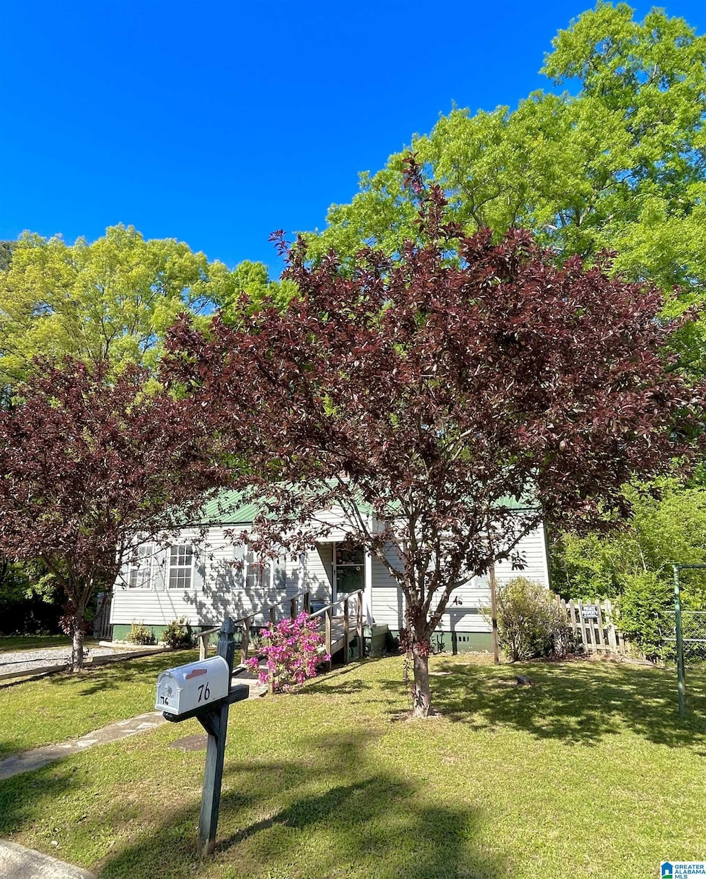 view of property hidden behind natural elements featuring a front lawn