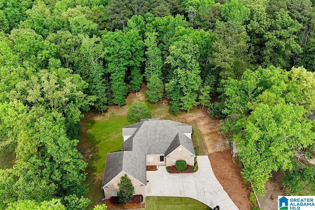 bird's eye view